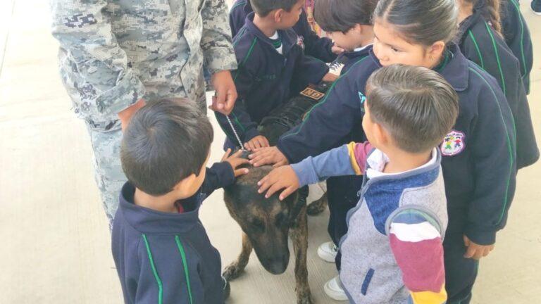 Jornadas de Paz benefician a niñas, niños y juventudes